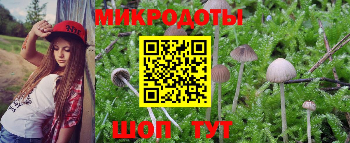 Галлюциногенные грибы Psilocybe  Вход с VPN  Протвино 